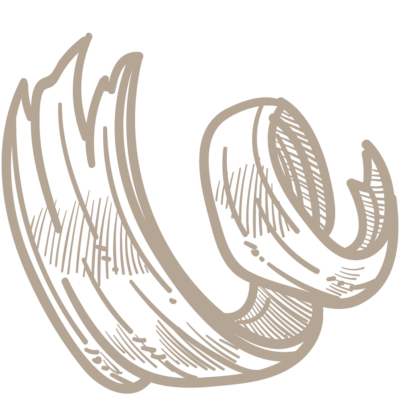 BeiEder_Grafiken_web_Holzspaene_01_1000x1000px