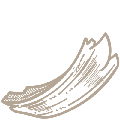BeiEder_Grafiken_web_Holzspaene_02_1000x1000px